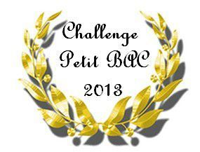 Bilan Challenge Petit Bac 2013