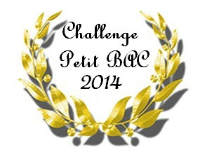 Bilan Challenge Petit Bac 2014