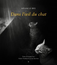 Dans l’oeil du chat – Melani Le Bris
