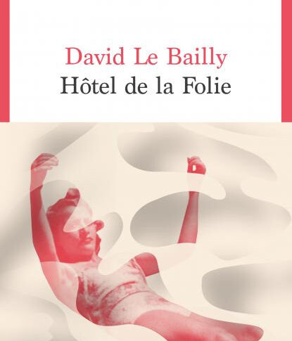 Hôtel de la folie – David Le Bailly