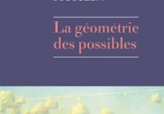 La géométrie des possibles – Edouard Jousselin