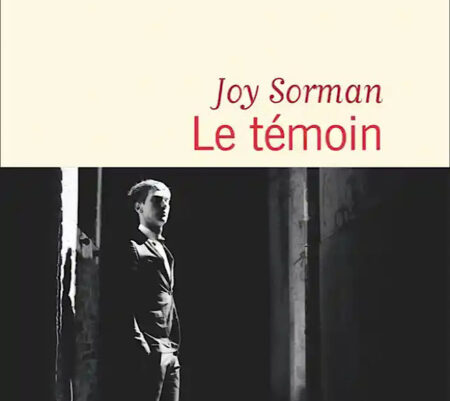 Le témoin – Joy Sorman