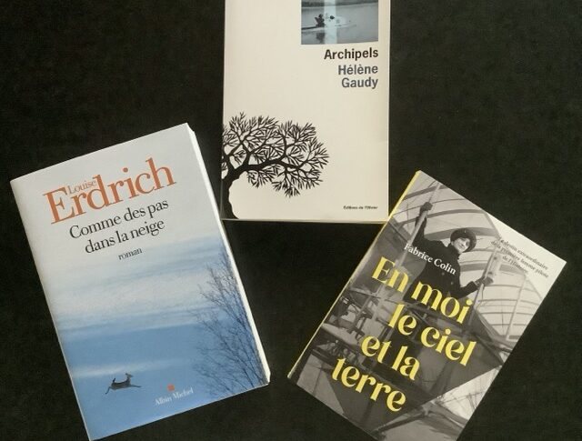 Du nouveau dans ma bibliothèque (37/24)