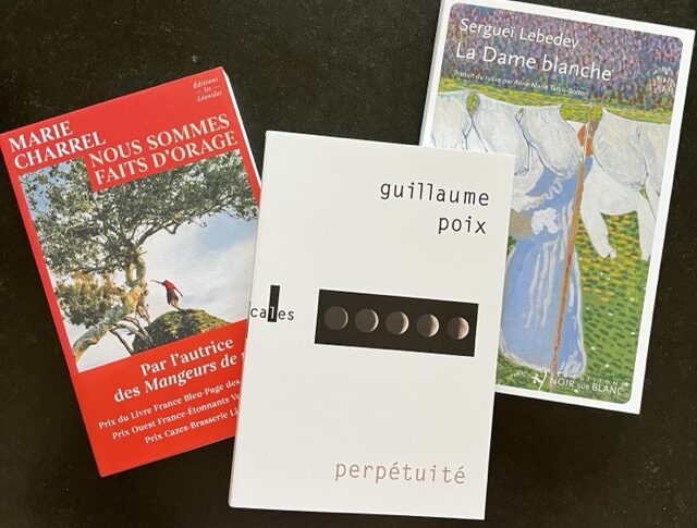 Du nouveau dans ma bibliothèque (33/25)