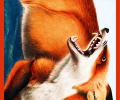 Vorace – Malgorzata Lebda