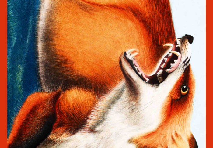 Vorace – Malgorzata Lebda