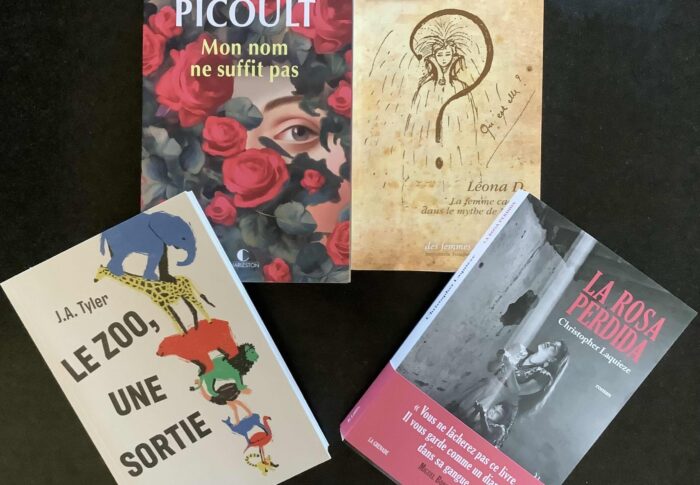Du nouveau dans ma bibliothèque (3/26)