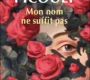 Mon nom ne suffit pas – Jodi Picoult