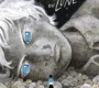Terre ou lune – Jade Khoo