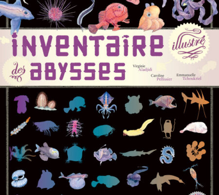Inventaire des abysses